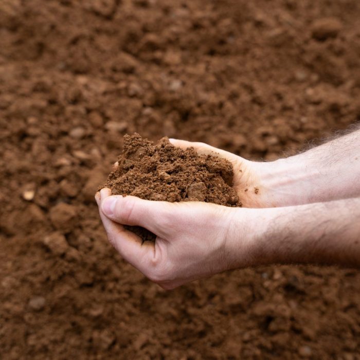 20mm Graded Hoggin - Image 3