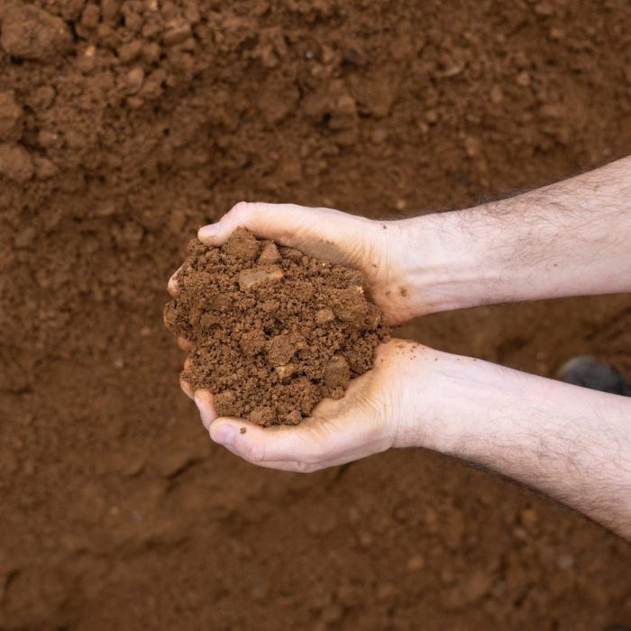 20mm Graded Hoggin - Image 2