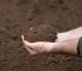 Topsoil guide
